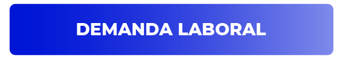 DEMANDA LABORAL